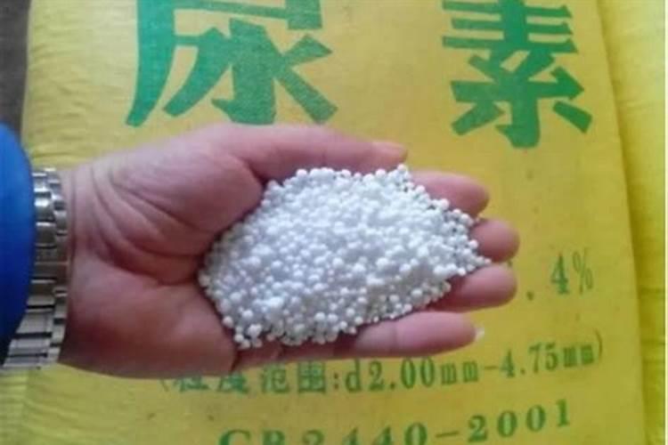 多元素水溶肥多久用一次