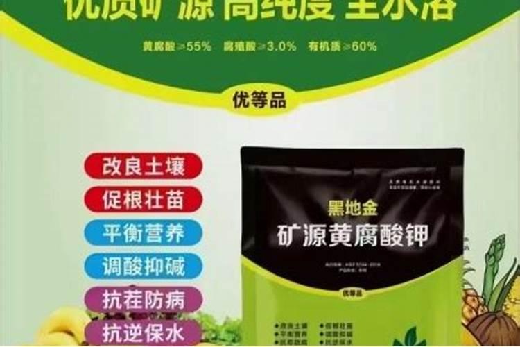 绿植施肥用什么肥料最好 给绿植施4种肥长得好