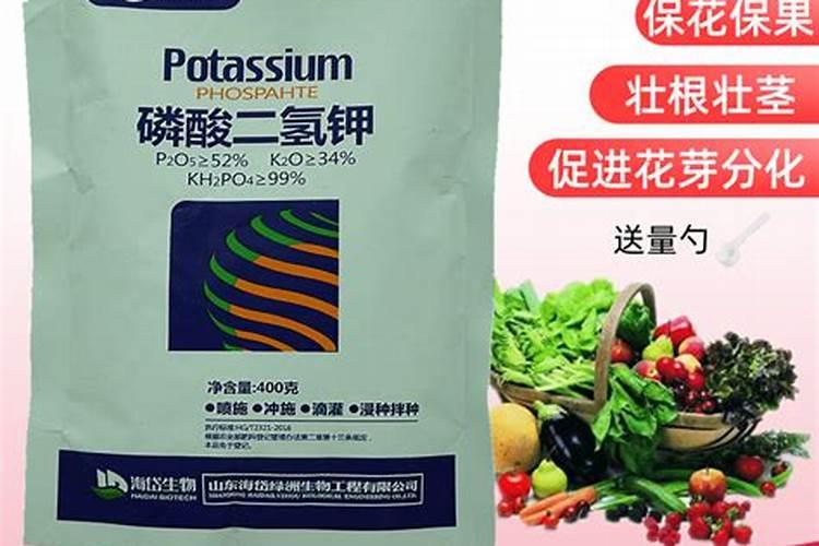 如何用磷酸二氢钾肥来养护绿植
