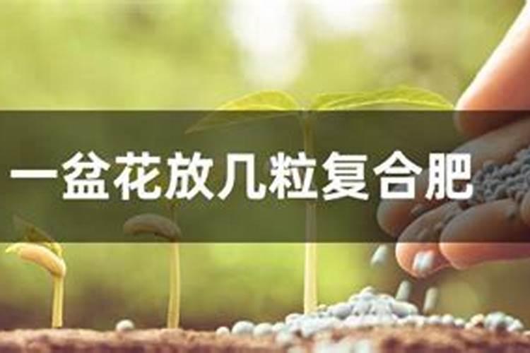 一盆花放几粒复合肥一盆花放几粒复合肥需要稀释吗