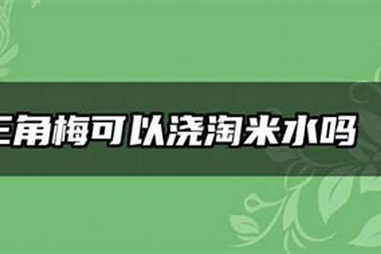 复合肥可以浇三角梅吗