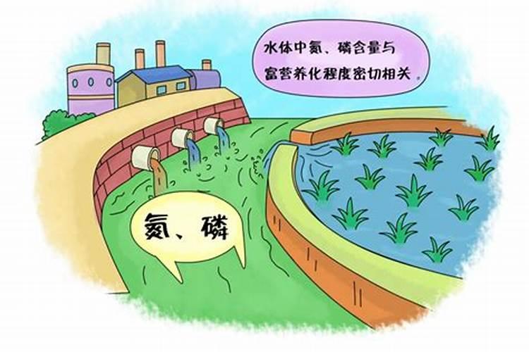 化肥施放在水田里,是否会溶解于水而流失？