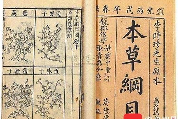 豆角什么时候施肥？如何施肥？
