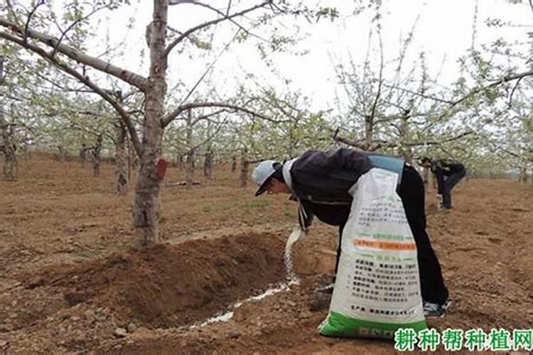 什么食物含钙、磷、钾、钠、镁、锌、硫、铁(要全部都有)