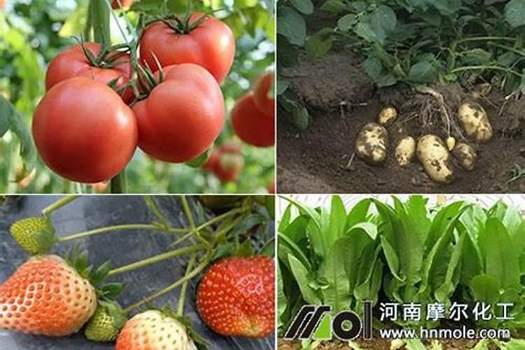 贵港市沃田肥业有限公司怎么样？