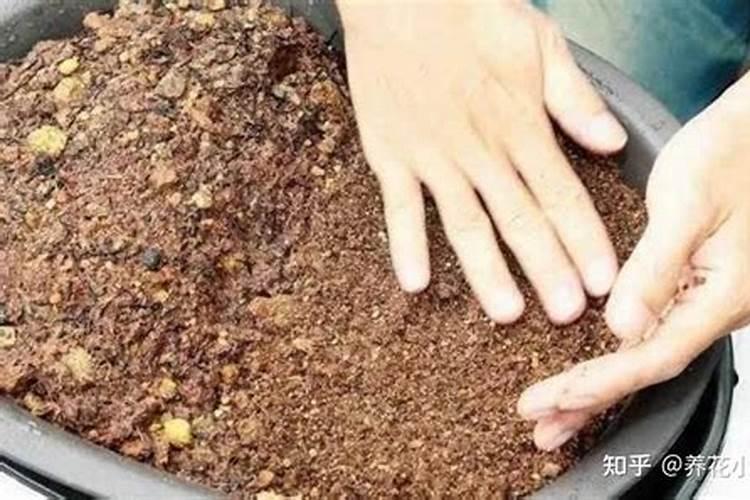 矿源黄腐酸钾多少钱一吨