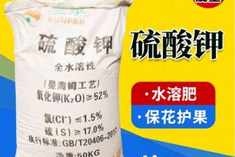 ...白菜,瓢儿菜,菜心等蔬菜,要用什么叶面肥,什么药治虫,治各种疾病百 ...