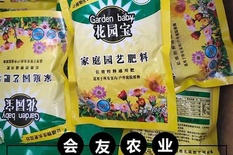 移栽果树的最佳时间