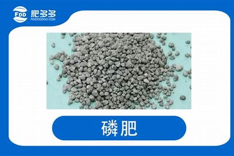 棉花后期需要什么肥料