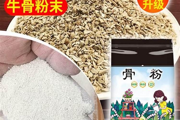 玉米滴灌种植施肥技术