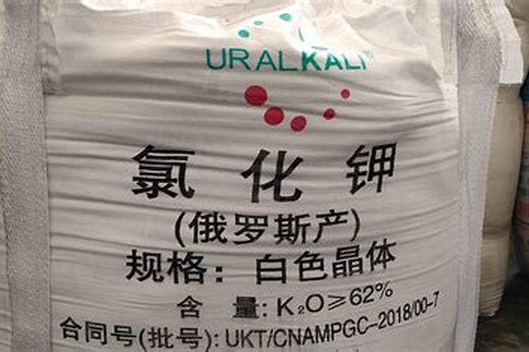 农村种植水稻,钾肥对水稻有什么作用呢？