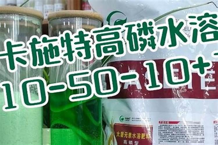 高磷水溶肥什么时候用