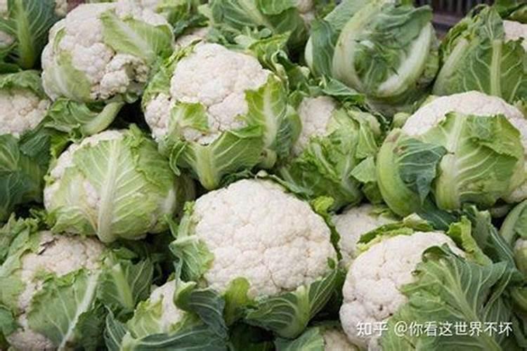 浇菜花使什么化肥好