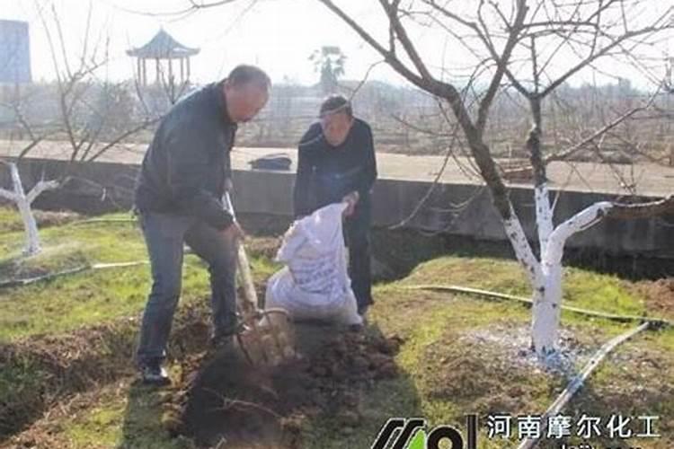哪些情况需要打叶面肥？叶面肥什么时间用好呢？