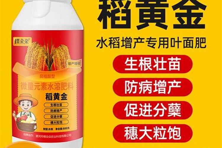 水稻分蘖期喷什么叶面肥好