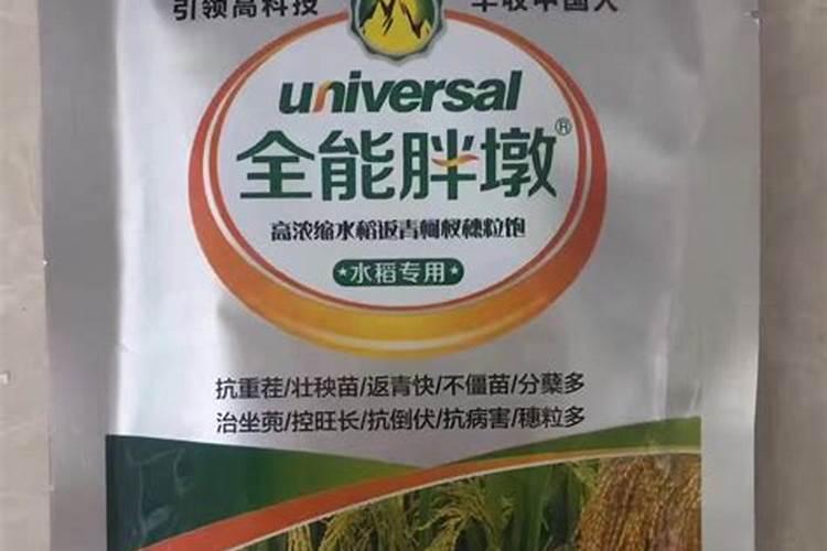 水稻什么时候喷叶面肥好？