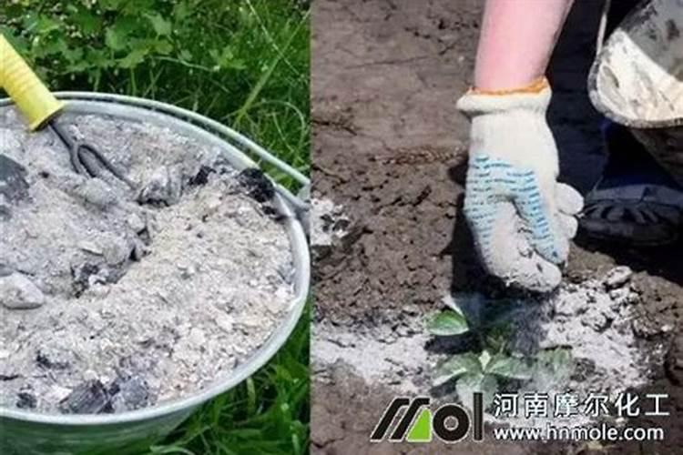 铵态氮肥为什么不能和草木灰混合使用