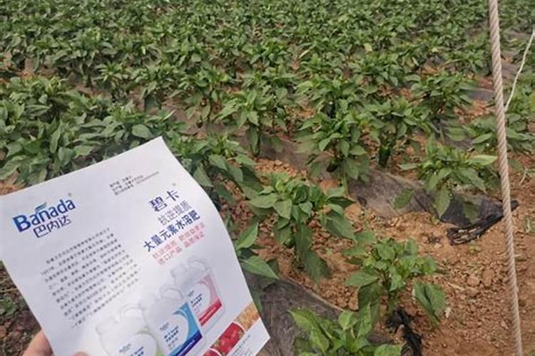 欢能肥厂家是正规厂吗
