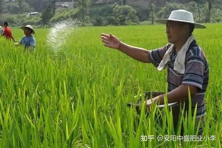 园艺肥品牌推荐