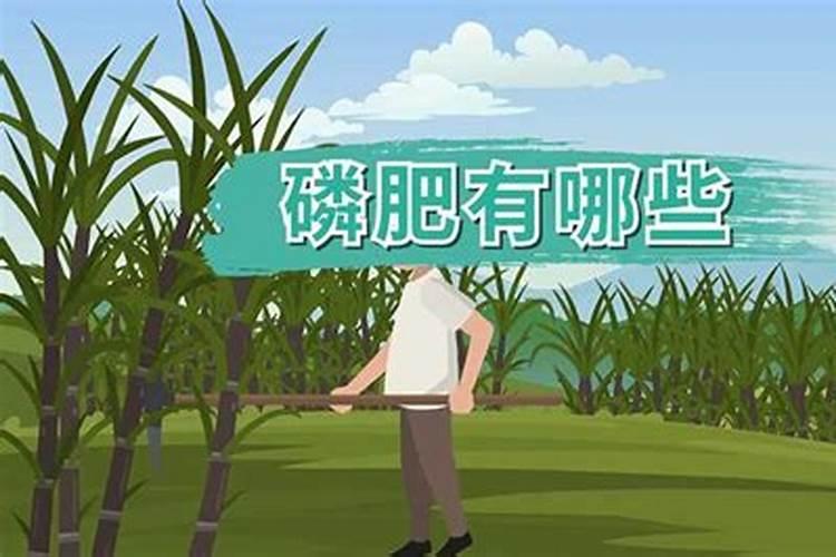 专门给草坪用的肥料的话,哪个牌子的好一些啊？