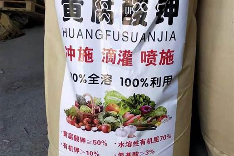 种草皮用什么类型复合肥