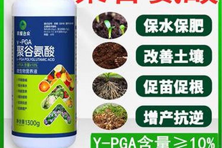 聚谷氨酸最好的使用方法