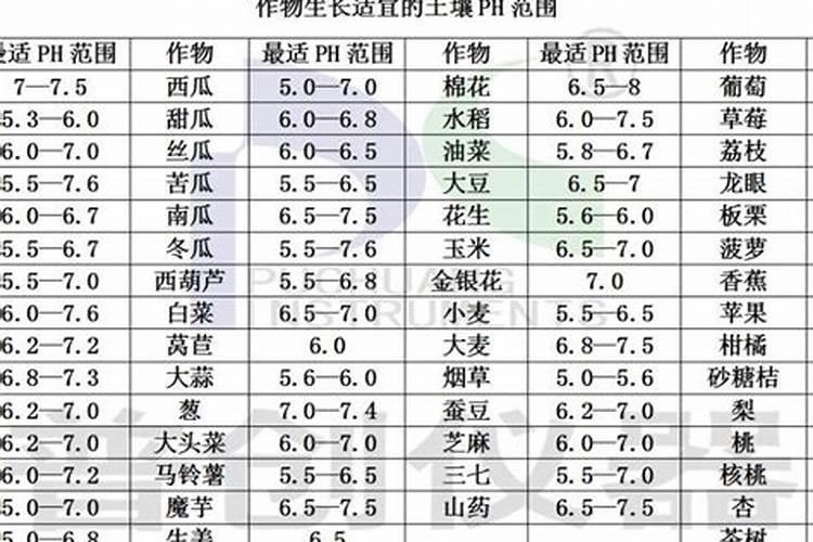 如何辨别优质水溶肥真假资讯