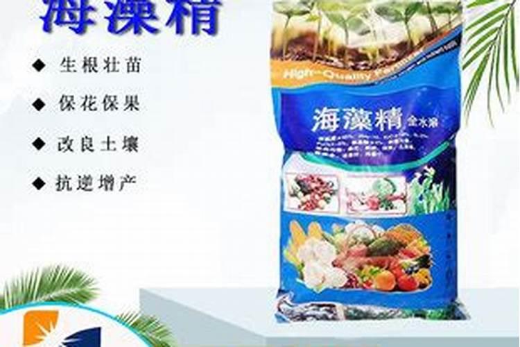 浇小西瓜幼苗用水溶肥用多少克？