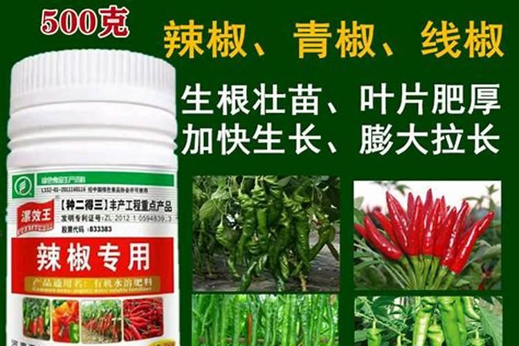 玉米打什么叶面肥最好