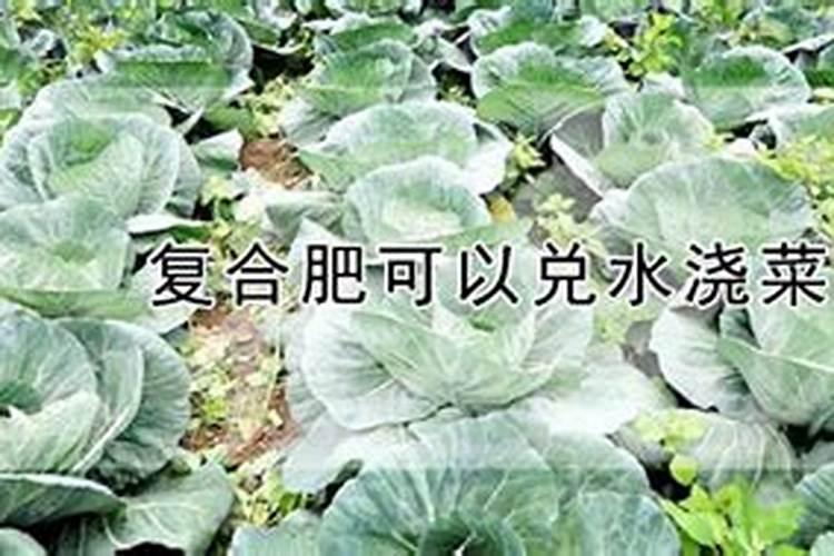 莴笋用什么肥料好