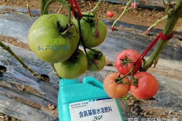 请问草莓膨果期冲什么化肥好？