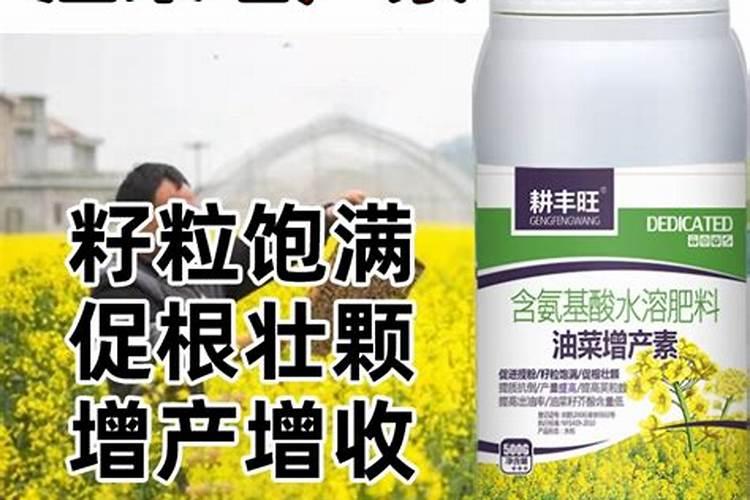 油菜怎样喷施叶面肥？