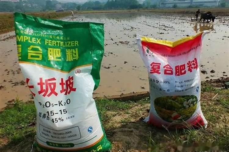 缓控释肥和缓释肥、控释肥有什么不同？缓控释肥与复合肥的区别？