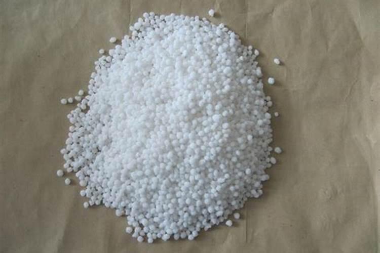 植物缺钙怎么解决？什么钙肥补充效果更好？