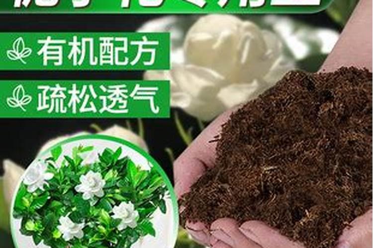 栀子花用什么肥料最好