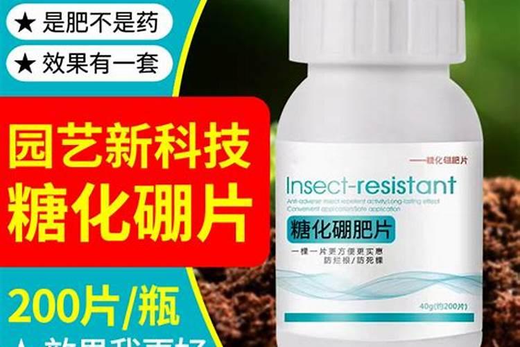细菌和真菌在自然界中的作用