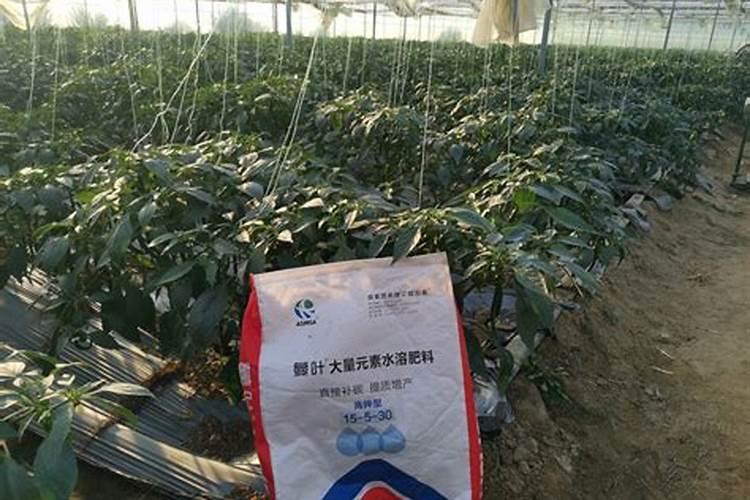 洞氮是哪里 洞氮是什么地方