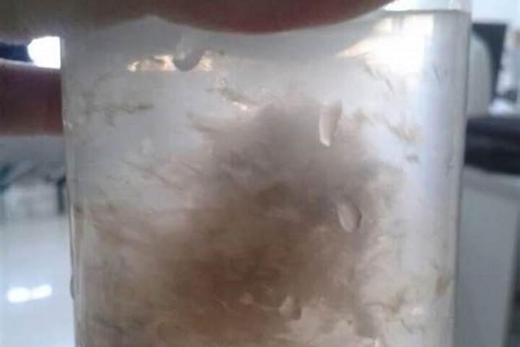 含腐殖酸的水溶肥有什么优缺点？