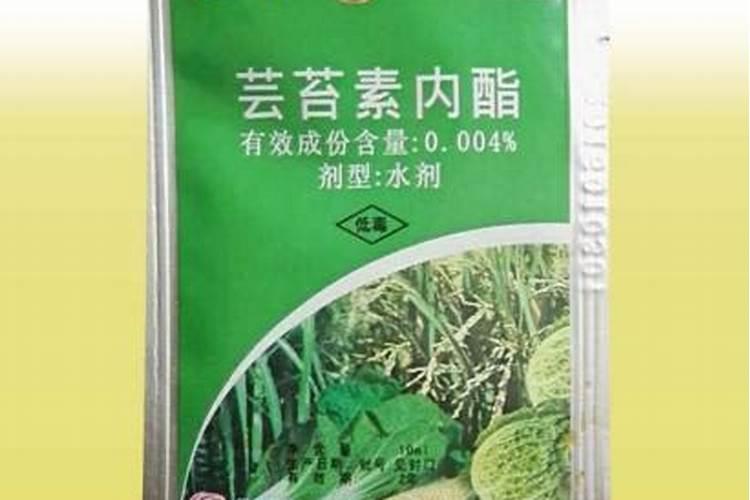 促花芽分化特效药