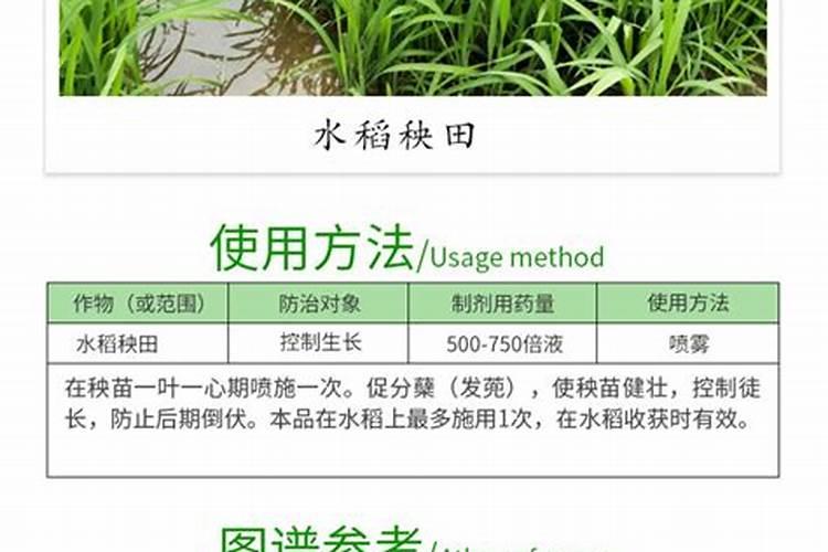 多效唑与叶面肥能混用吗