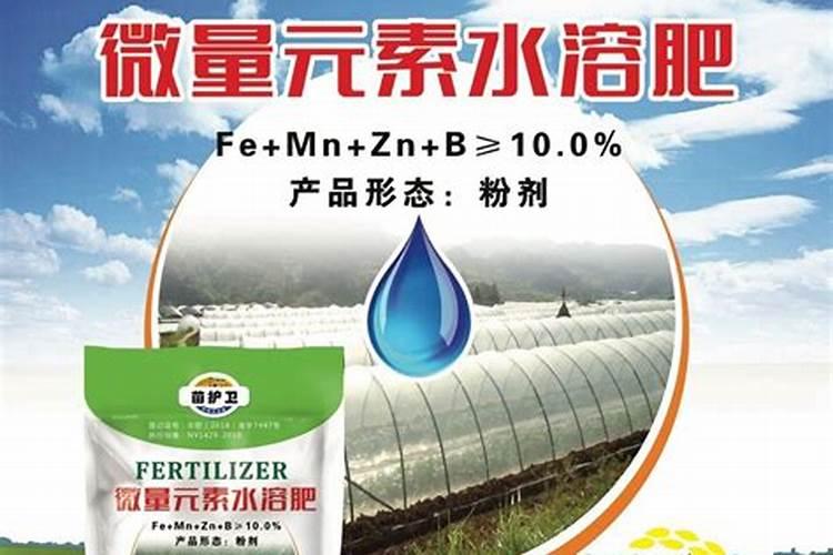 蓝藻爆发怎么处理