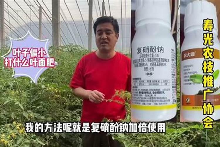 《本草纲目》的简介