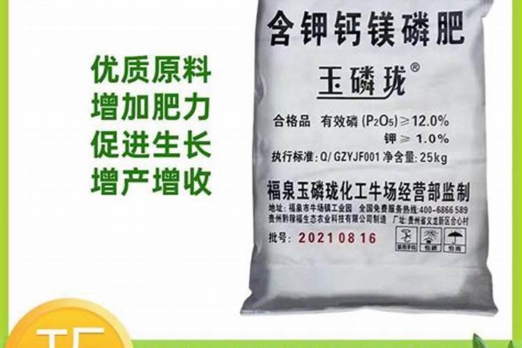通草是什么在哪能买到