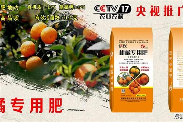 柑橘采收后喷什么叶面肥好？