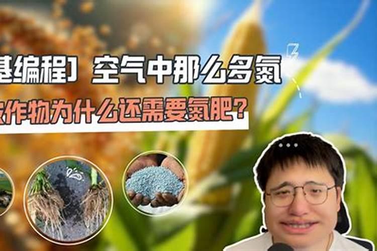 柑橘春季施肥技术与时间