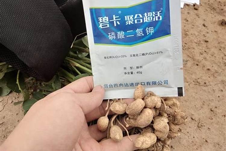 那种花生叶面肥效果好？