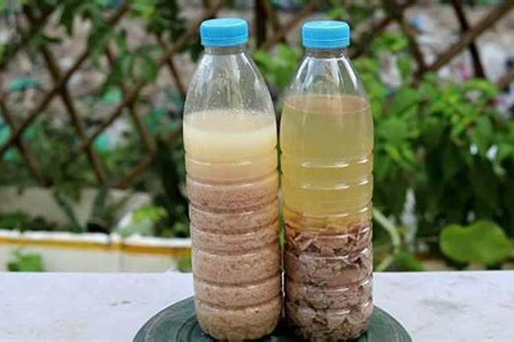 什么叫饼肥水