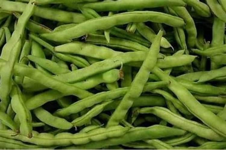 想提高四季豆产量需要注意哪些施肥技巧 四季豆怎么施肥