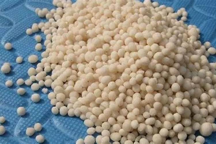 油菜籽开春换苗打什么药