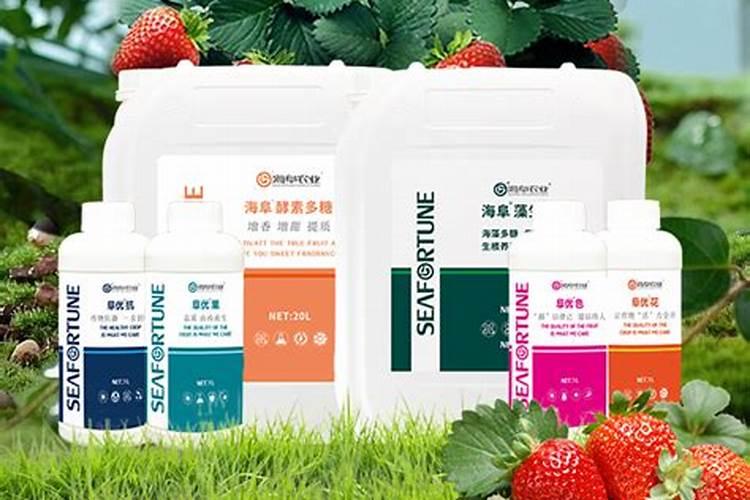什么是鱼蛋白肥料,鱼蛋白肥料作用及使用方法